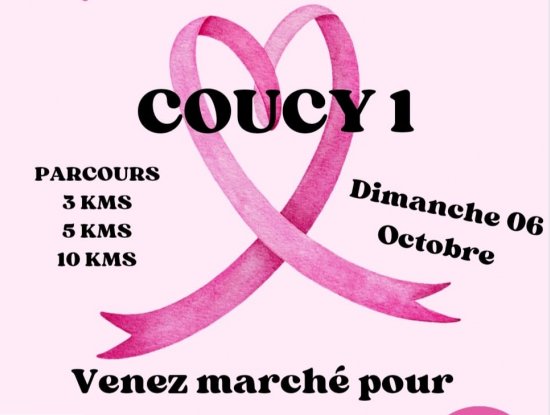 Marche Rose à Coucy 1